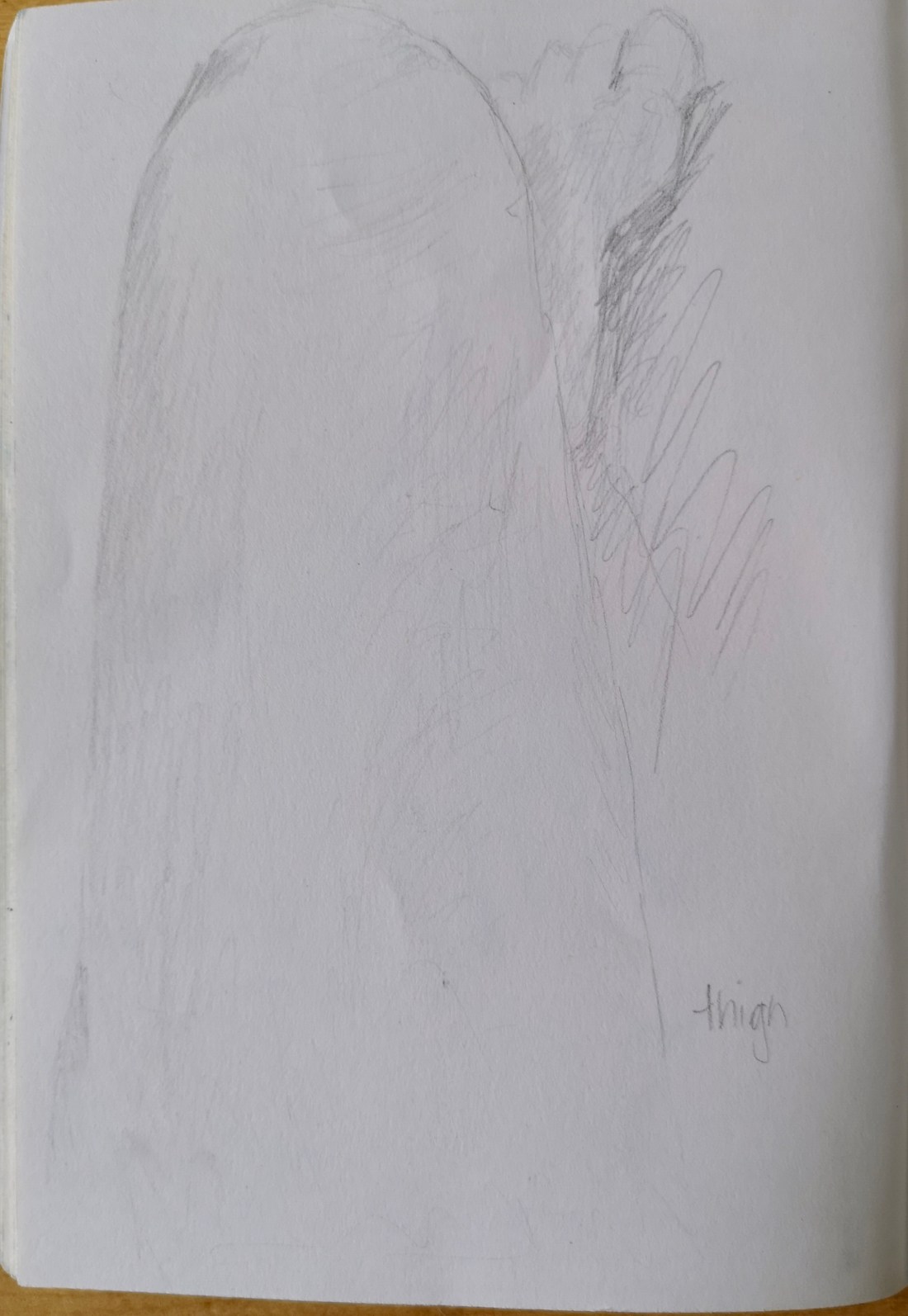 77B67DCF-B536-4092-8F45-8E8307BED8DD