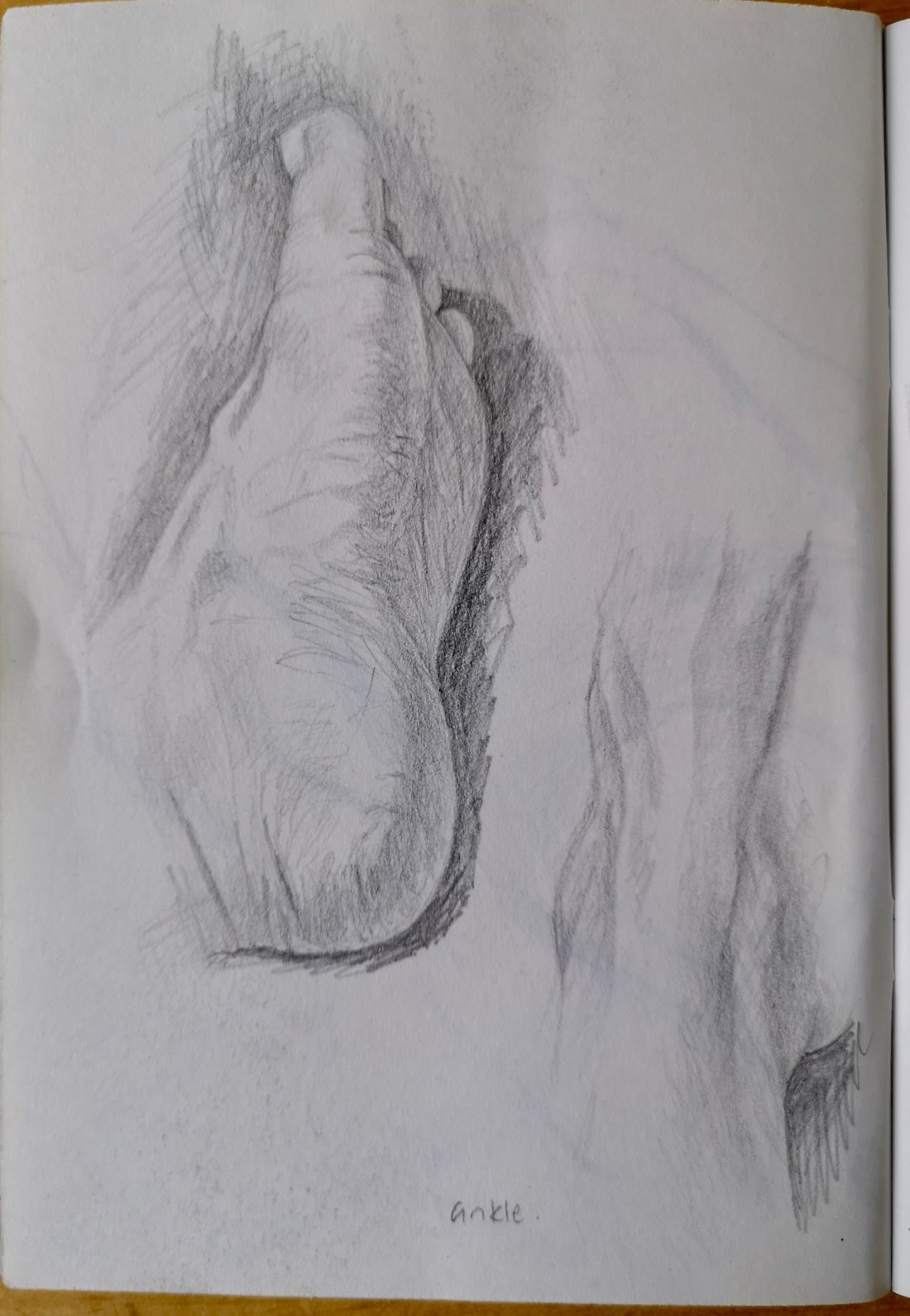 8A204D83-E14C-4E19-9256-2A211A5E55EB