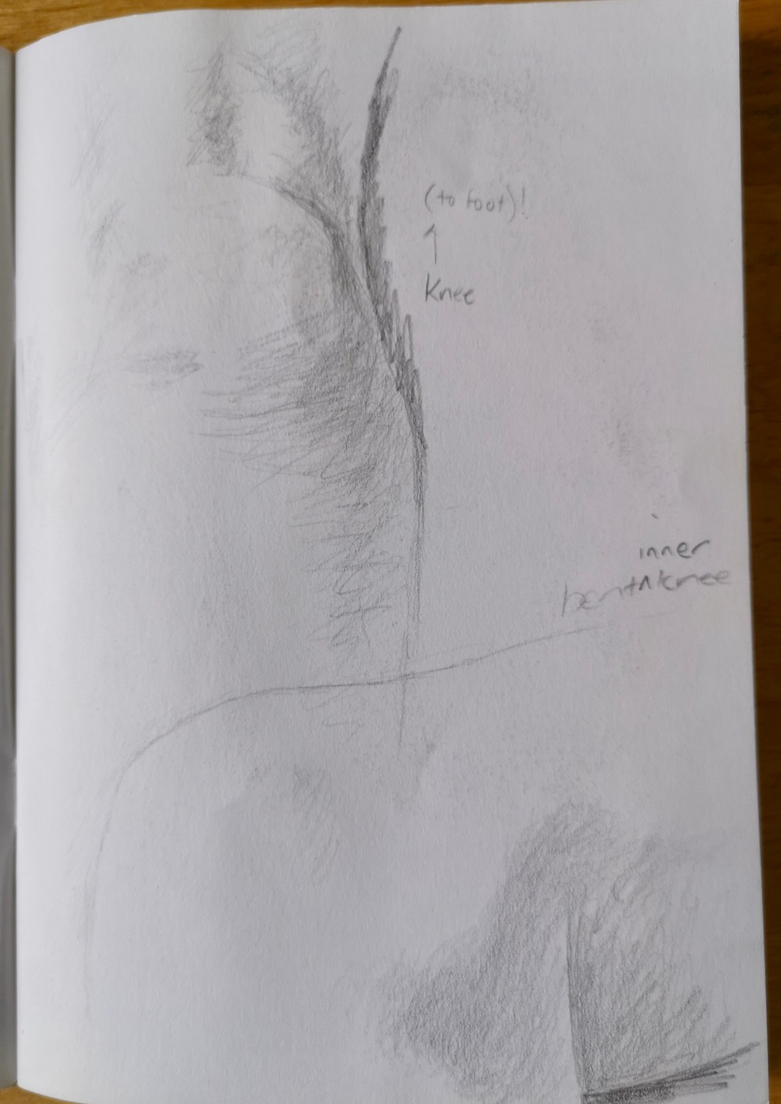 EDF565CE-EC49-458E-B1CB-AA01575BEF22