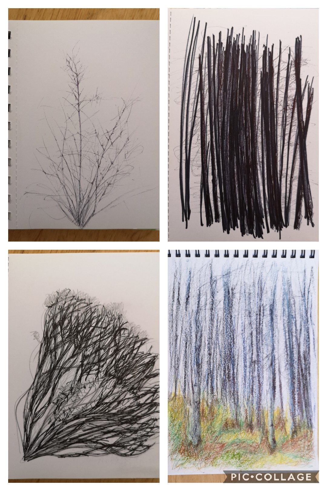 5785CCE8-9163-406A-936F-200ECDACA4DB